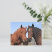 Quarter Horses Briefkaart (Staand voorkant)