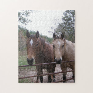 Quarter Horses door de poort Legpuzzel