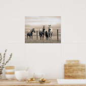 Quarter Horses In Canadese Prairie Poster (Keuken)