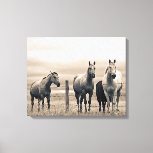Quarter Horses Op Canadese Prairie Canvas Afdruk (Voorkant)