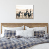 Quarter Horses Op Canadese Prairie Canvas Afdruk (Insitu (Slaapkamer))