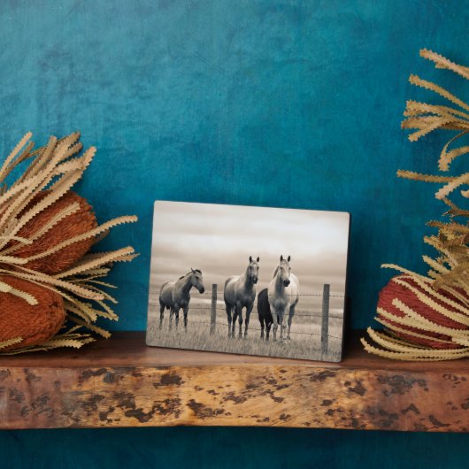 Quarter Horses Op Canadese Prairie Fotoplaat (Zijkant)
