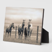 Quarter Horses Op Canadese Prairie Fotoplaat (Zijkant)