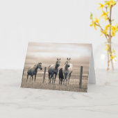 Quarter Horses Op Canadese Prairie Kaart (Gele Bloem)
