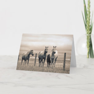 Quarter Horses Op Canadese Prairie Kaart