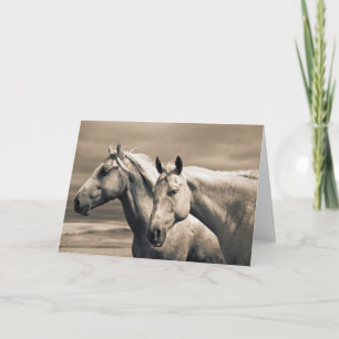 Quarter Horses Op Canadese Prairie Kaart
