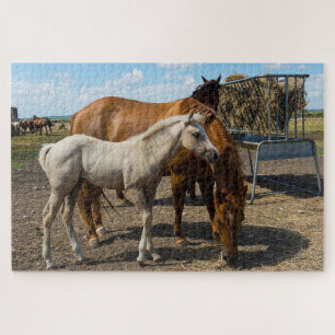 Quarter Horses Texas. Jigzaag Puzzle Legpuzzel
