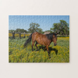 Quarter Horses Texas. Legpuzzel