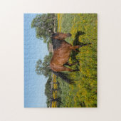 Quarter Horses Texas. Legpuzzel (Verticaal)