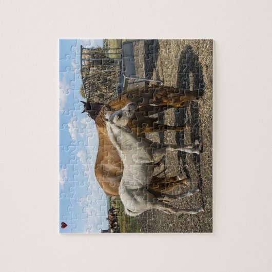Quarter Horses Texas Legpuzzel (Verticaal)