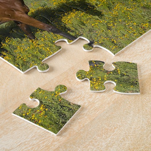 Quarter Horses Texas Legpuzzel (Zijkant)