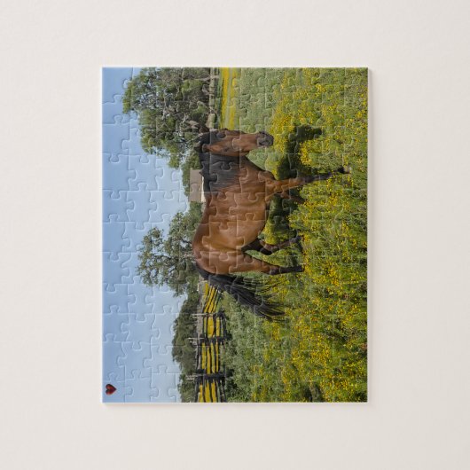 Quarter Horses Texas Legpuzzel (Verticaal)