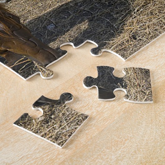 Quarter Horses Texas. Legpuzzel (Zijkant)