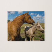 Quarter Horses Texas Legpuzzel (Horizontaal)