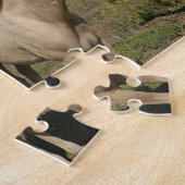 Quarter Horses Texas Legpuzzel (Zijkant)