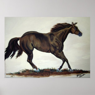 Quarter-paard Poster