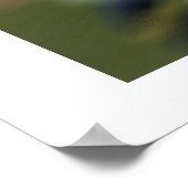 Quarterback Poster (Hoek)