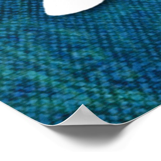 Quartet of Orange & White Kohaku Koi Poster (Hoek)