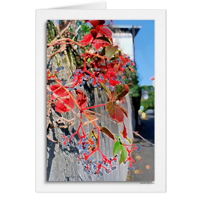 Quartier Jules Ferry (Voorkant)