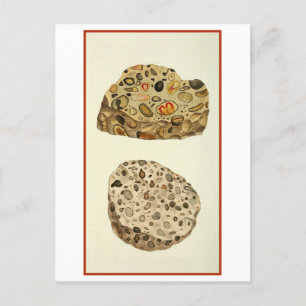 Quartzose Pudding Stone Mineralogie Illustratie Briefkaart