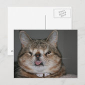 Quasi Briefkaart (Voorkant / Achterkant)