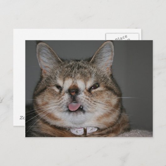 Quasi Briefkaart (Voorkant / Achterkant)