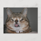 Quasi Briefkaart (Voorkant)