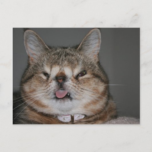 Quasi Briefkaart (Voorkant)