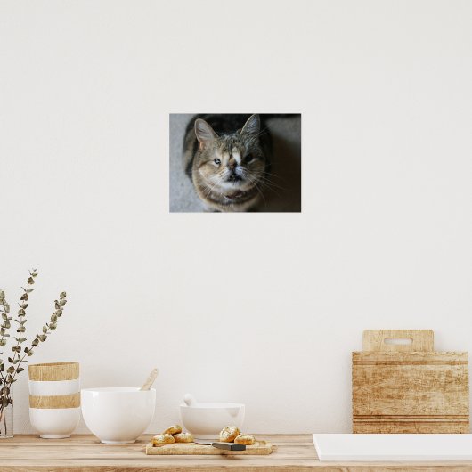 Quasi-Poster Poster (Keuken)