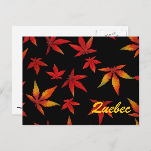 Quebec Autumn Leaves Briefkaart (Voorkant / Achterkant)