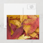 Quebec Herfstbladeren Ansichtkaart Briefkaart (Voorkant / Achterkant)