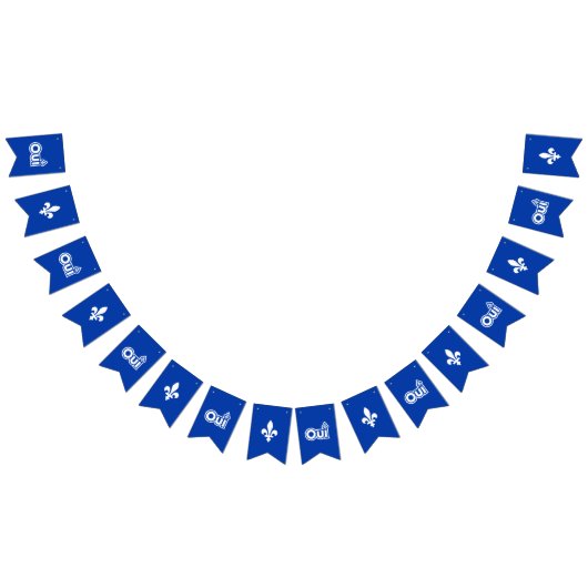 QUEBEC OUI VLAGGETJES (Alle)