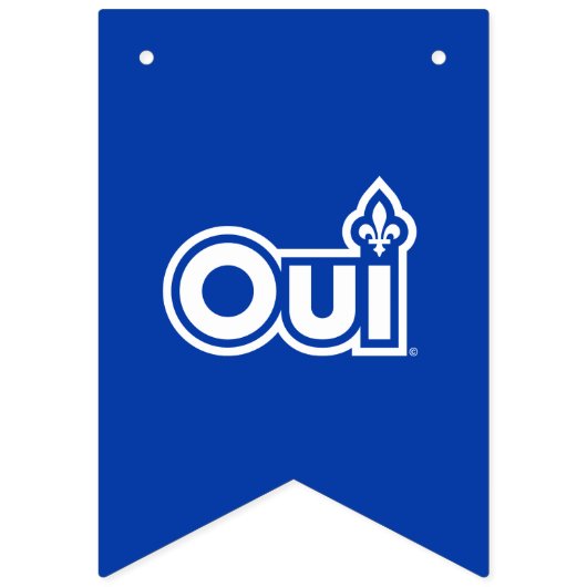 QUEBEC OUI VLAGGETJES (Eerste vlag)