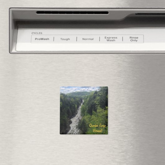 Quechee Gorge, Vermont Magneet (Insitu (Vaatwasser))