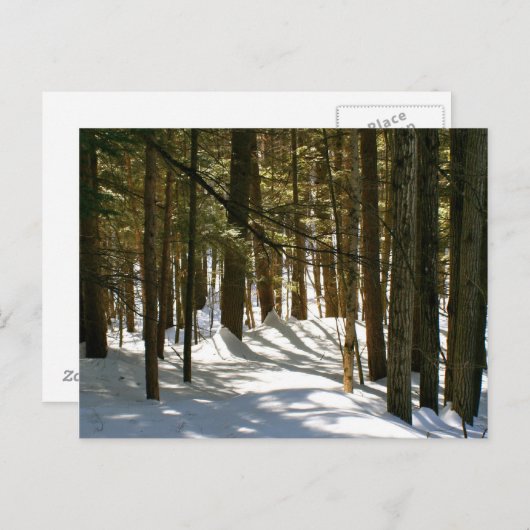 Quechee, VT Briefkaart (Voorkant / Achterkant)