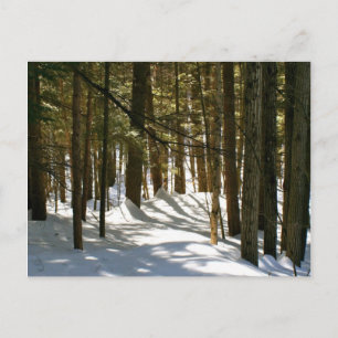 Quechee, VT Briefkaart