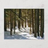 Quechee, VT Briefkaart (Voorkant)