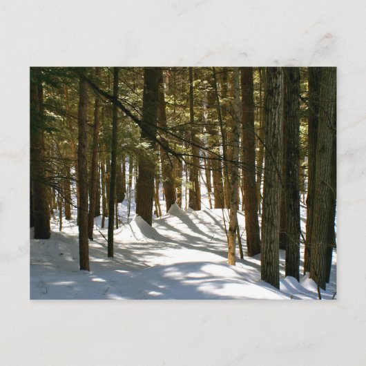 Quechee, VT Briefkaart (Voorkant)