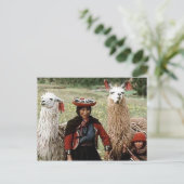 Quechua vrouw met twee lama's Foto Briefkaart (Staand voorkant)