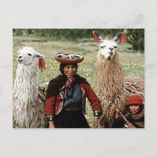 Quechua vrouw met twee lama's Foto Briefkaart