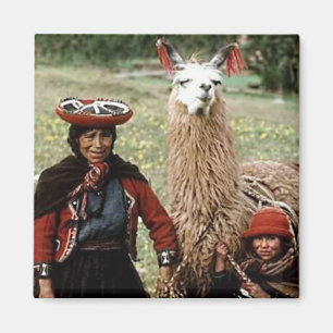 Quechua vrouw met twee lama's Foto Magneet