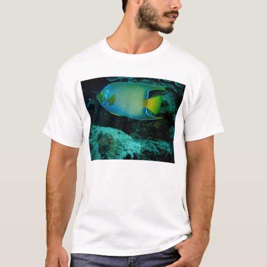 Queen Angel Fish T-shirt (Voorkant)