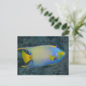 Queen Angelfish Briefkaart (Staand voorkant)