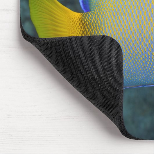 Queen Angelfish Muismat (Hoek)