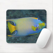 Queen Angelfish Muismat (Met muis)