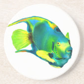 Queen Angelfish Onderzetter (Voorkant)