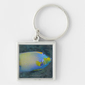 Queen Angelfish Sleutelhanger (Voorkant)