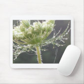 Queen Anne en Morning Dew Muismat (Met muis)