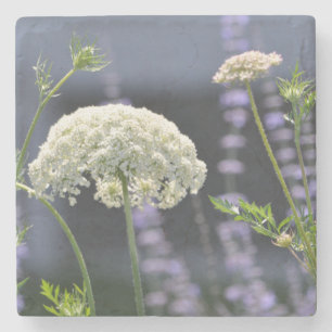 Queen Anne Onderzetter