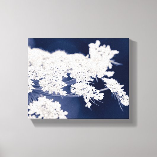 Queen Anne's Kant Bloemen Ingewikkeld Canvas Afdruk (Voorkant)